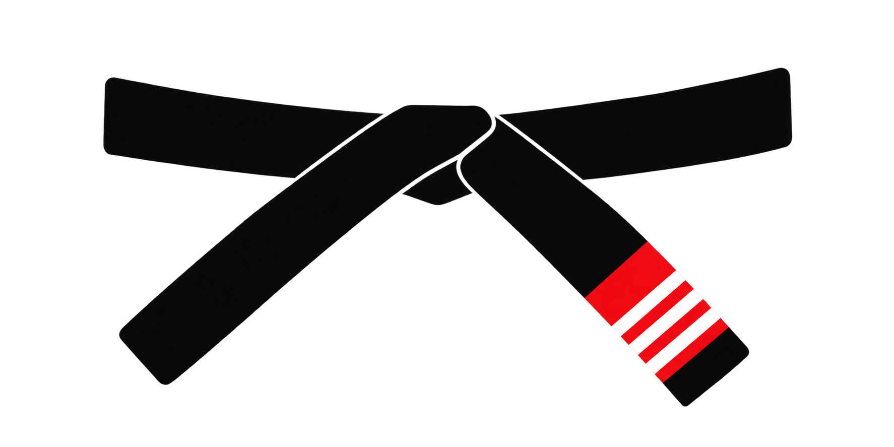 Brazilian Jiu Jitsu third degree black belt